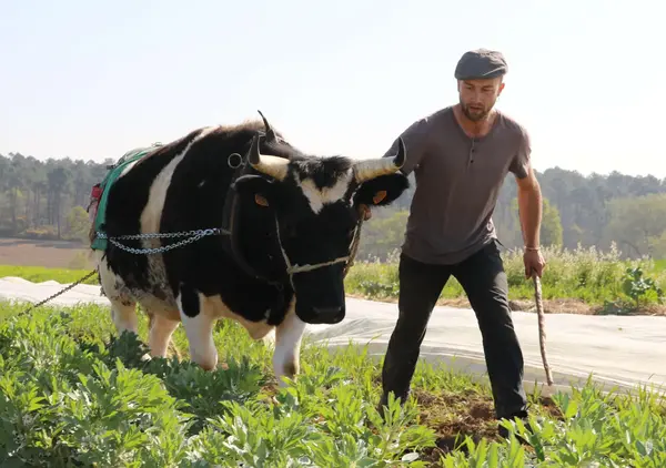 Erwan Grandadam Erwan Grandadam