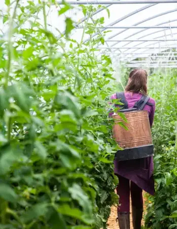Les ferments de la Terre