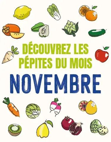 Découvrez notre calendrier de saisonnalité de Novembre 2025 !